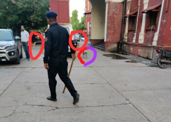 विश्वविद्यालय में कुत्तों के झुंड को देख नाराज हुए कुलसचिव