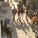 नाई की मंडी में टोरंट- पुलिस की टीम पर बोला हमला, पुलिस के पिटाई करने का वीडियो वायरल