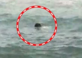 आगरा का इंजीनियर पुडुचेरी में समुद्र में डूबा