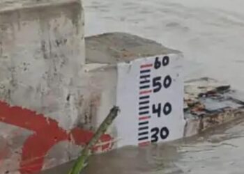 यमुना में हर घंटे बढ़ रहा पानी जलस्तर पहुंचा 497 फीट