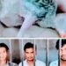 पेड़ों से तोतों के बच्चों को चुराने वाले तीन चोरों को पुलिस ने पकड़ा