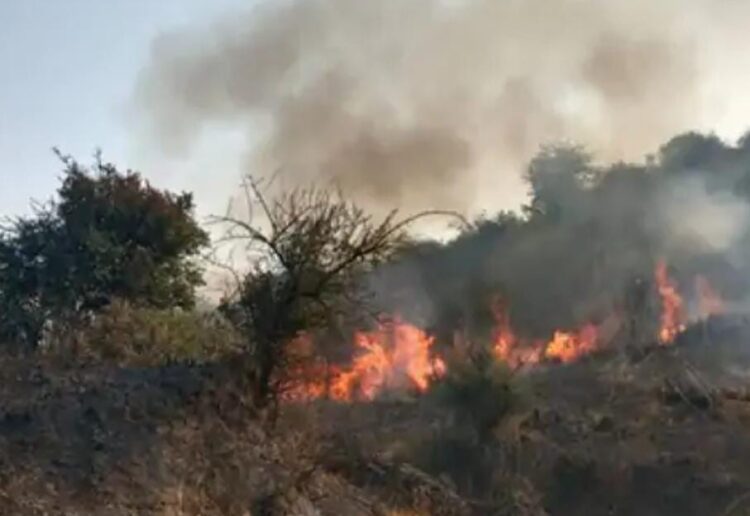 पिनाहट में बीहड़ में लगी आग, दमकलों को दो घंटे लग गए आग बुझाने में