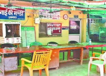 नाई की मंडी में करोड़ों की जमीन पर कब्जा, पुलिस ने सुबह से शाम तक कार्रवाई के नाम पर पीड़ित को टहलाया