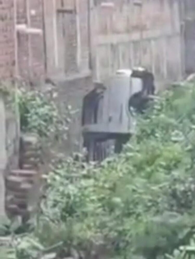 स्कूल के बच्चों से भरी वैन नाले में गिरी, बच्चों के बीच में मची चीख पुकार