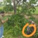तीन महीने पहले फतेहाबाद से किडनैप हुए आठ साल के बच्चे की हत्या, 80 लाख रुपए मांगी गई थी फिरौती