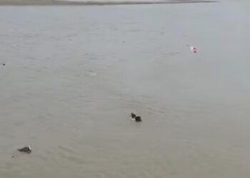 ताजगंज में यमुना में डूबे दो युवक, वीडियो हुआ वायरल