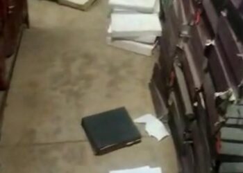 विश्वविद्यालय: बंदरों ने बोला छात्रों के नामांकन रिकॉर्ड पर हमला