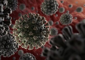 आगरा में कोरोना के निकले 5 नए केस