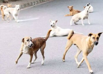 उपचार के दौरान मूकबधिर बच्ची की मौत