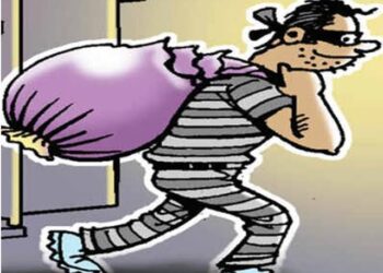 लोहामंडी में पंजाब नेशनल बैंक के लॉकर से लाखों रुपए के जेवरात चोरी