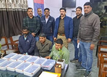 सैकड़ों अवैध पिस्टल बेचने वाले एसटीएफ ने दबोचे