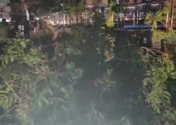 धूल भरी आंधी से कई जगह बिजली आपूर्ति ठप, कई पेड़ गिरे