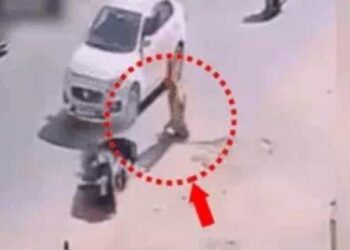 कार चालक ने साइकिल सवार को रौंदा, वीडियो वायरल