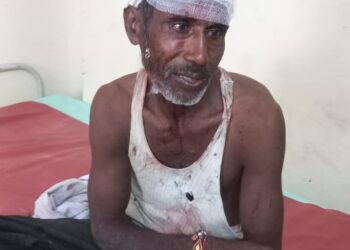 पिढ़ौरा में जमीन के बंटवारे में सगे भाइयो में चले लाठी डंडे, आधा दर्जन लोग घायल