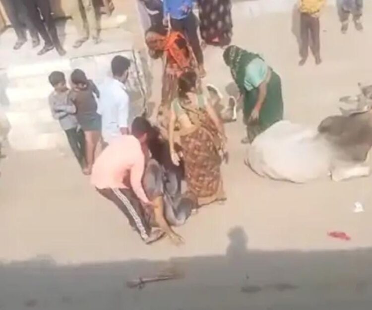 पनीर के पैसे मांगने पर दबंगों ने युवती को पीटा