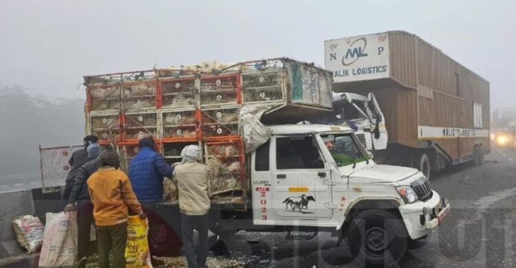 कोहरे की वजह से हाईवे पर कई वाहन आपस में टकराए