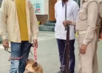 जिस कुत्ते की वजह से विवाद हुआ था, वह आरोपी के घर में बंद था