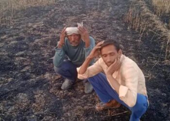 खेड़ा राठौर में हाईटेंशन लाइन में शॉर्ट सर्किट से लगी आग में फसल जलकर हुई राख