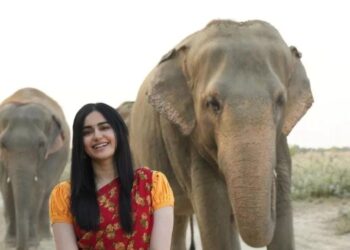 मशहूर बॉलीवुड अभिनेत्री अदा शर्मा ने भालू और हाथियों का जाना हाल