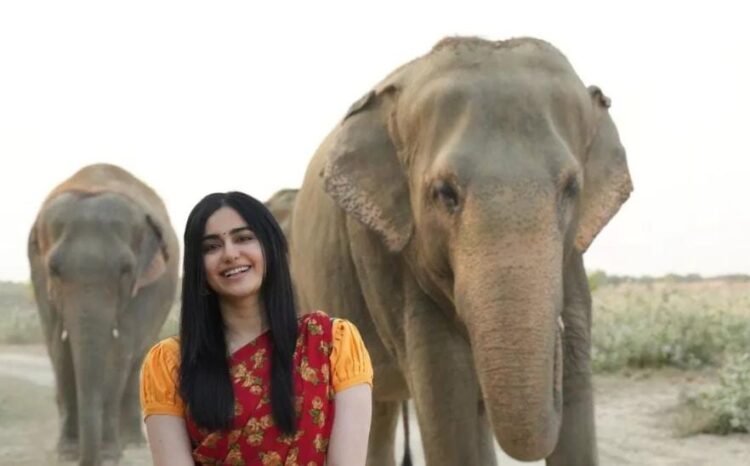 मशहूर बॉलीवुड अभिनेत्री अदा शर्मा ने भालू और हाथियों का जाना हाल