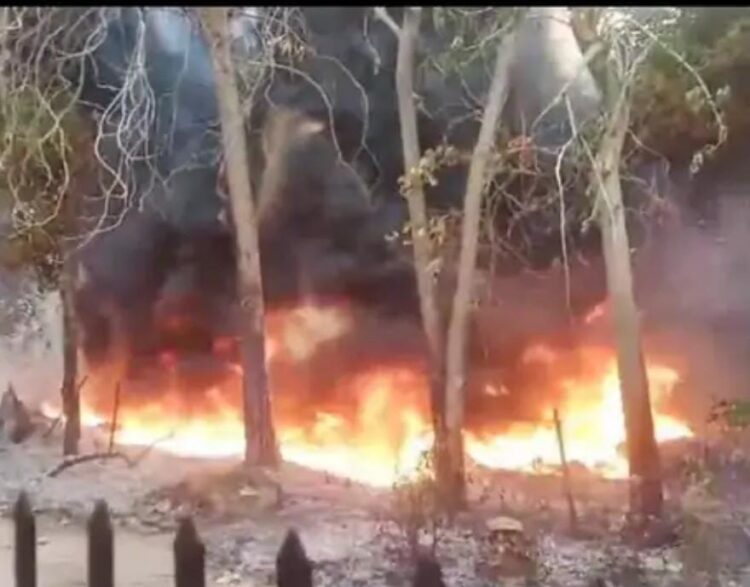 मानसिक आरोग्यशाला के पास पेड़ों में लगी आग