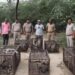 आठ लंगूरों को रेस्क्यू कर बचाया, कॉलोनी में बांध रखे थे