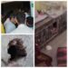 रात्रि पुलिस गश्त के बावजूद ताजगंज में ज्वेलर्स की दुकान से लाखों रुपए की चोरी