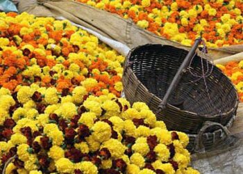 दीपावली त्यौहार पर आगरा का फूल बाजार गुलजार