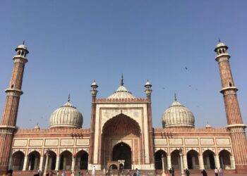 जामा मस्जिद की सीढ़ियों का ग्राउंड पेनेट्रेटिंग रडार  सर्वे कराने से संबंधित वाद में न्यायालय में बहस हुई