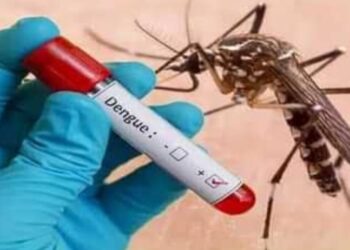आगरा में डेंगू के इस साल मिले 172 केस