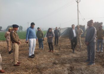 सोशल मीडिया पर वायरल मृत गौवंश के वीडियो की जिलाधिकारी ने जांच की तो वीडियो निकला पुराना