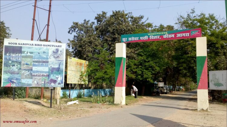 सूर सरोवर में कई पेड़ काटे गए, आरटीआई में हुआ खुलासा