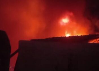 सोल का दाना बनाने की फैक्ट्री में लगी भीषण आग