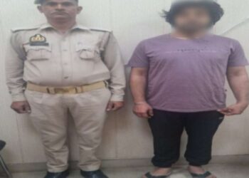 लड़कियों की आवाज में बात कर ठगी करता था साइबर ठग