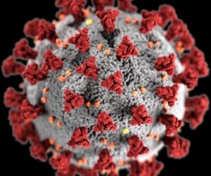 एसएन मेडिकल कॉलेज में भर्ती कोरोना संक्रमित मरीज की मौत