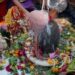 शहर के प्रमुख शिव मंदिरों में सुबह से भक्तों का उमड़ा सैलाब
