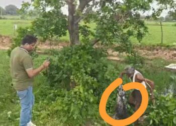 तीन महीने पहले फतेहाबाद से किडनैप हुए आठ साल के बच्चे की हत्या, 80 लाख रुपए मांगी गई थी फिरौती