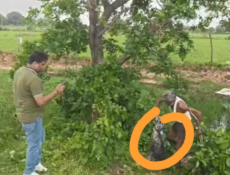 तीन महीने पहले फतेहाबाद से किडनैप हुए आठ साल के बच्चे की हत्या, 80 लाख रुपए मांगी गई थी फिरौती