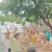 मुख्य चुनाव आयुक्त के आगरा आवास पर कांग्रेसियों ने किया जमकर हंगामा