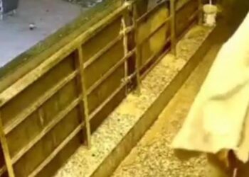 ट्रांस यमुना थाने से चंद कदमों की दूरी पर ज्वेलर के यहां चोरी