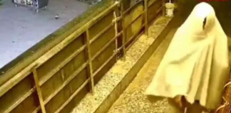 ट्रांस यमुना थाने से चंद कदमों की दूरी पर ज्वेलर के यहां चोरी