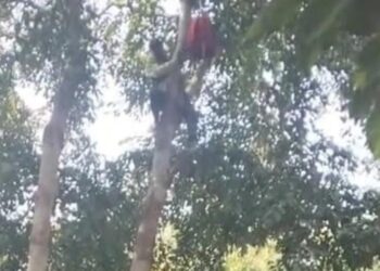 वन विभाग के कार्यालय के सामने आत्महत्या करने के लिए पेड़ पर चढ़ गया युवक