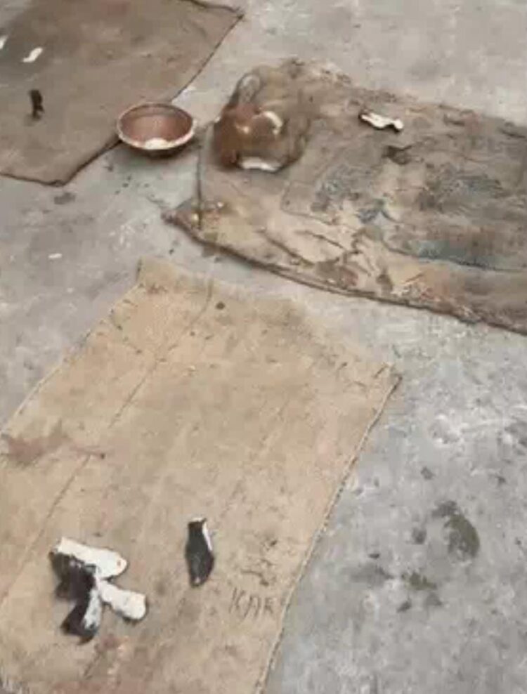 एबीवीपी कार्यालय के बाहर मांस का टुकड़ा फेंके जाने से फैला तनाव