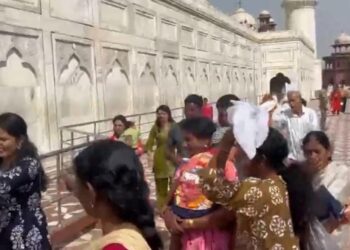 ताजमहल पर मधुमक्खियों ने पर्यटकों पर किया हमला
