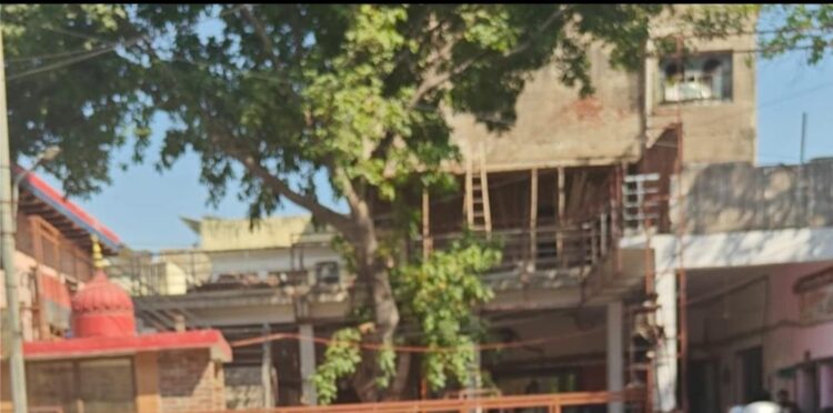 दरोगा योगेश नागर के पांच महीने में चार थाने बदले, पेड़ कटवाने के मामले में कार्रवाई की जगह फिर से थानाध्यक्ष के रूप में तबादला विभाग में चर्चा का विषय