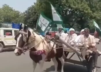 घोड़ा बग्गी गाड़ी से कलेक्ट्रेट में पहुंचे किसानों ने किया जमकर प्रदर्शन